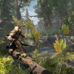 Bushes in Assassin's Creed 3