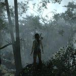 The Fog Makes The Forest So Real